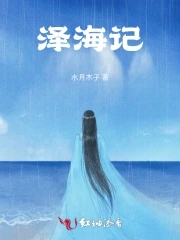 泽海电子